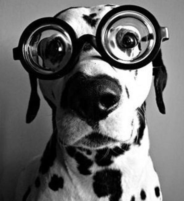 Let’s Do An Experiment!